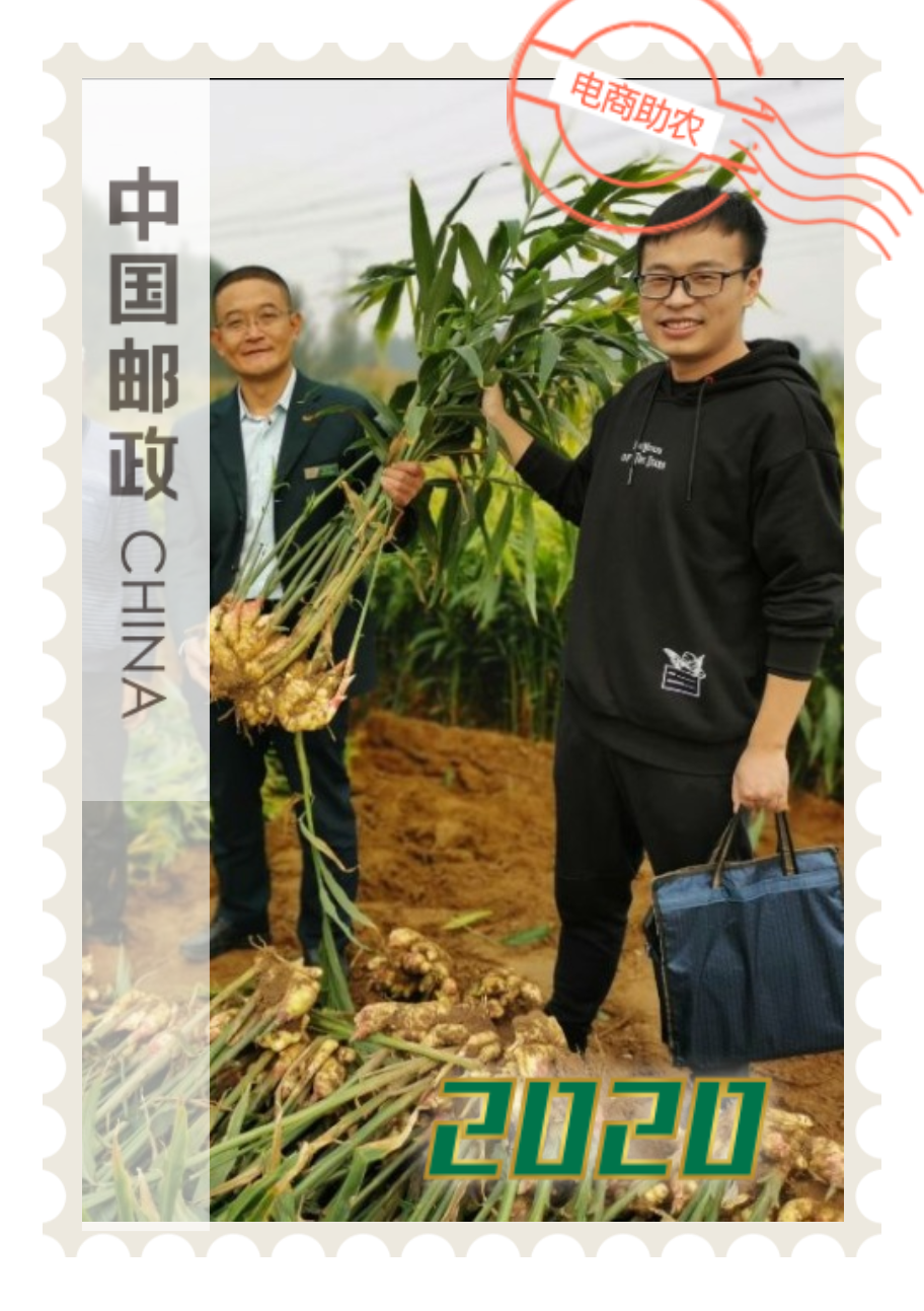 临沂市沂南县分公司 袁建国