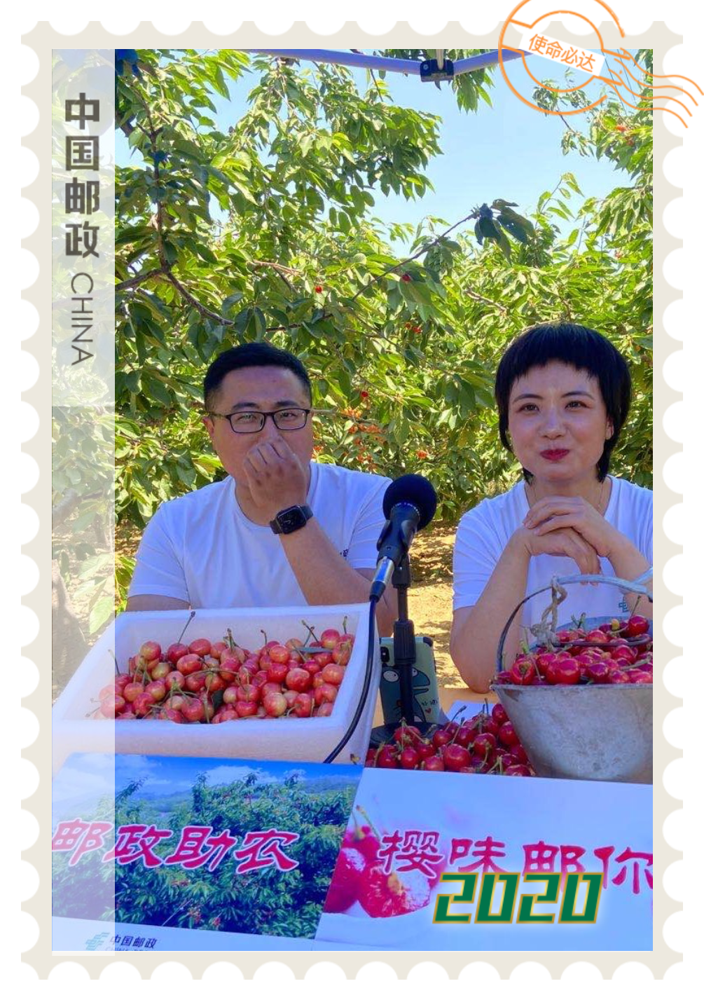 泰安市分公司营业局 李珂