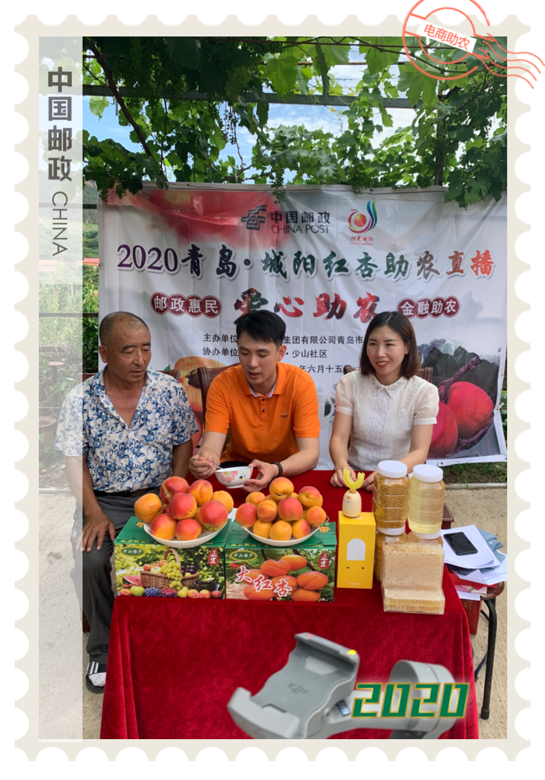 青岛市城阳区分公司 李晨